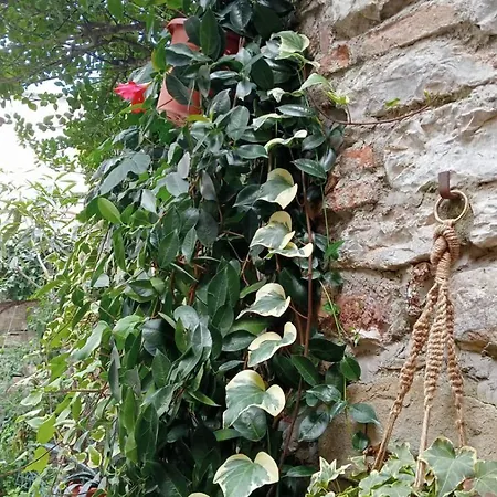 La Casa Nel Vicolo Apartment